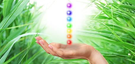 Full Spectrum Hemp Oil Extract by Biovy™