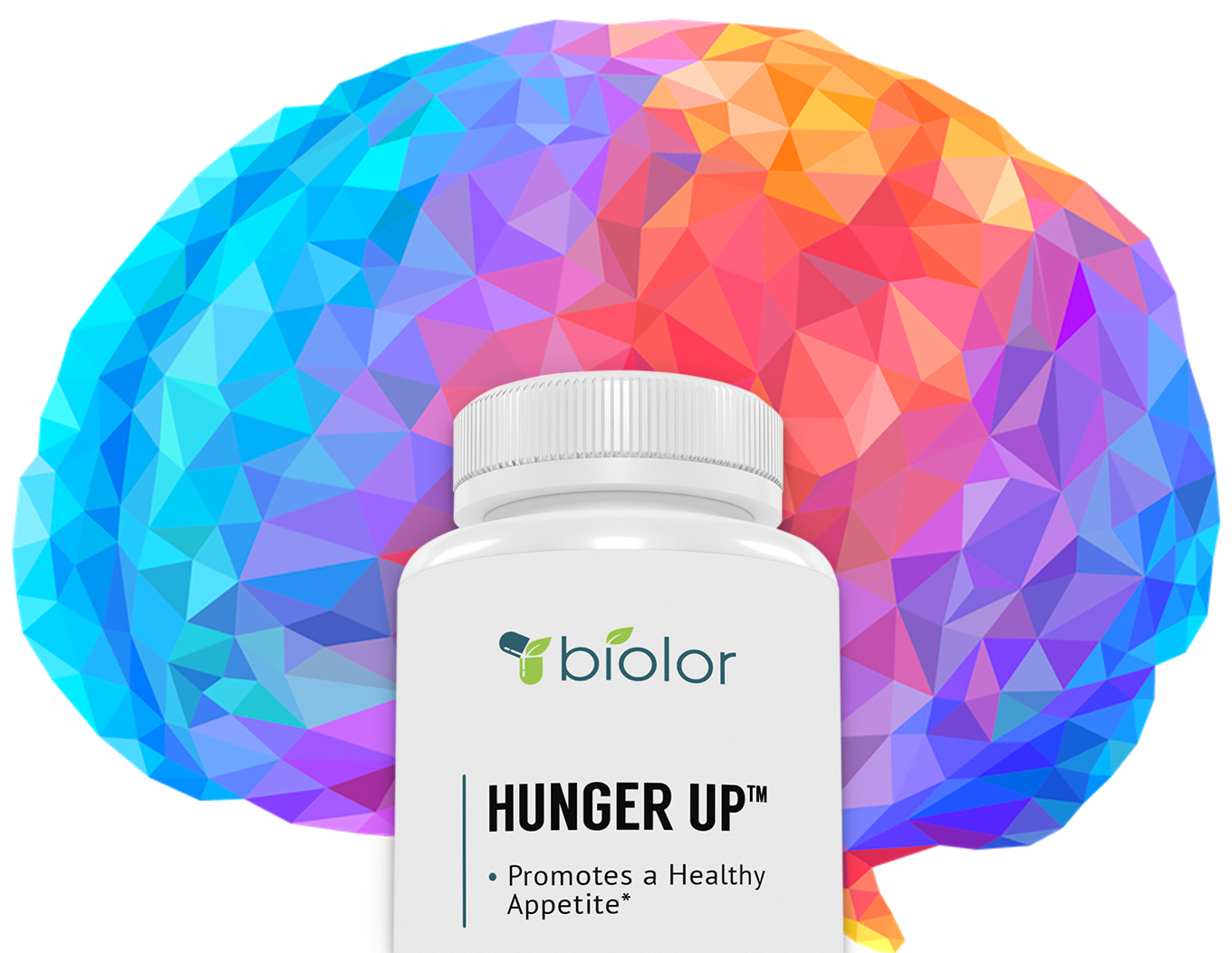 Boost Your Health, Fitness And Mind