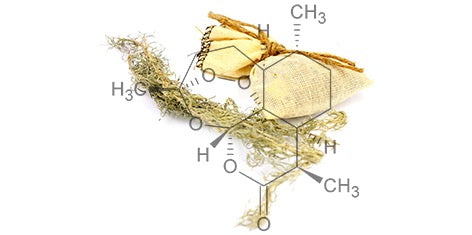 ArtemisiMax™ - Premium Standardized Artemisinin HPLC Supplement