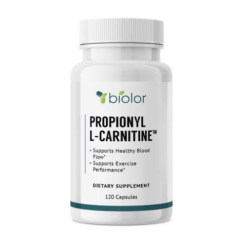 High Absorption Propionyl-L-Carnitine (PLCAR) - NO Artificial Fillers - 120 Capsules